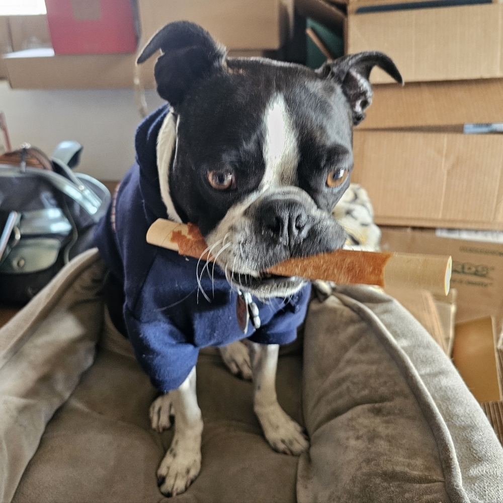 Meet your Posher, Pupsaunt77